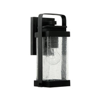 Homestead 1-Light Outdoor Wall Light