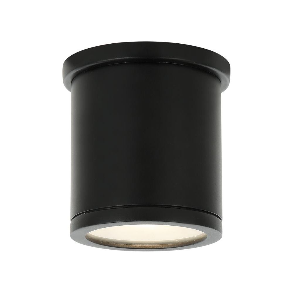 Volute 1-Light Outdoor Ceiling Light