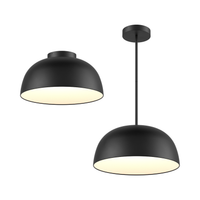 20" 2-1 Pendant and Flush Mount (6 Stems)