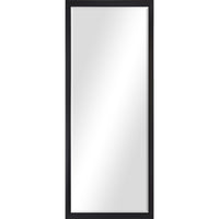 Delacorte 80" Tall Rectangle Wall Mirror