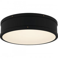 Ahoy Flush Mount