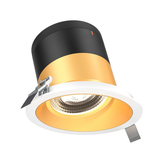 6" Modular Downlight