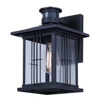 Grant 1-Light Outdoor Lantern