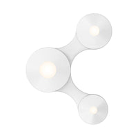 Coral Surface 1-Luminaire LED Surface Mount