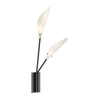 Calla LED Sconce