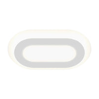 Offset 24" Racetrack LED Surface Mount