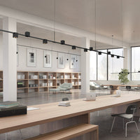 Suspenders 12' In-Line Linear with Power Precise Direct Mount Cube