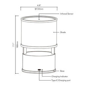 Cartello 1-Light Table Lamp