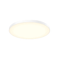 Fusion 21" 5CCT Trimless Flush Mount