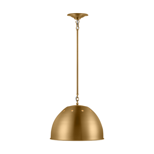 Robbie 1-Light Large Pendant