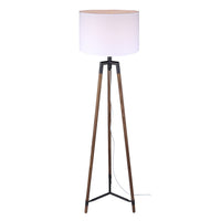 Cameram 1-Light Floor Lamp