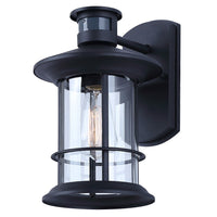 Dakota 1-Light Outdoor Lantern