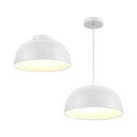 20" 2-1 Pendant and Flush Mount (6 Stems)