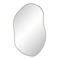 Noria 45" Tall Irregular Rectangular Oval Mirror
