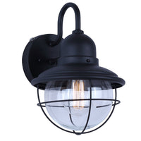 Alaric 1-Light Outdoor Lantern