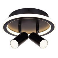 Denver Flush Mount