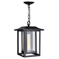 Winfield 1-Light Outdoor Pendant