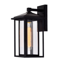 Crawford 1-Light Outdoor Wall Light