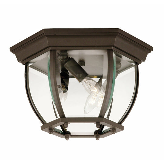 Exterior Collections Outdoor Ceiling Light