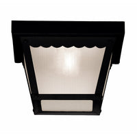 Exterior Collections Outdoor Ceiling Light