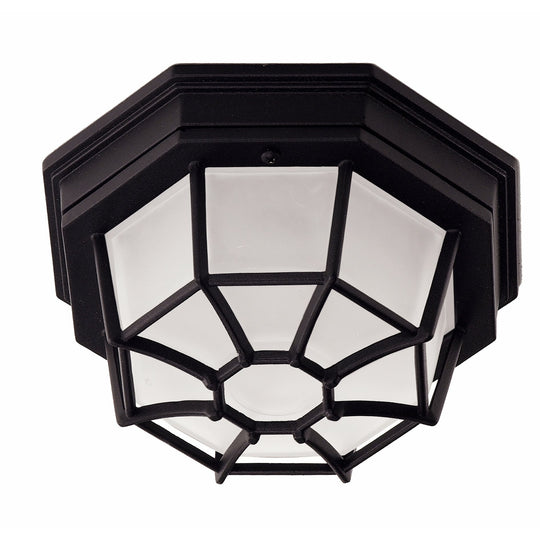 Exterior Collections Outdoor Ceiling Light