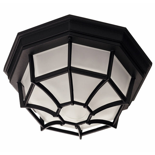 Exterior Collections Outdoor Ceiling Light