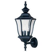 Madrona Outdoor Wall Light