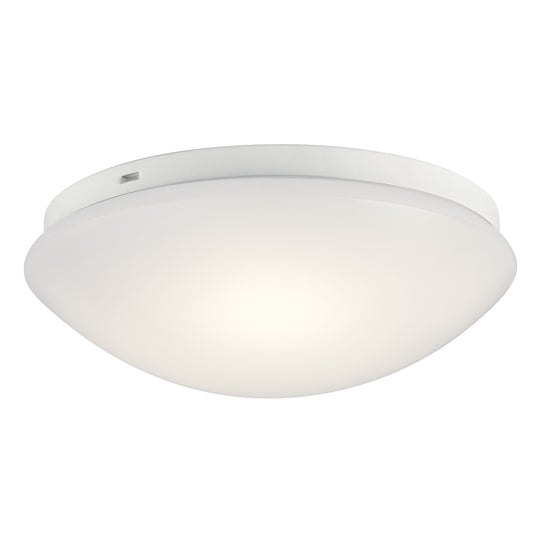 Ceiling Space Flush Mount
