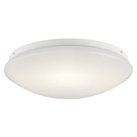 Ceiling Space Flush Mount