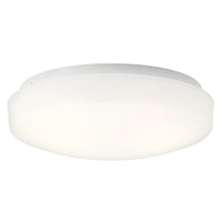 Ceiling Space Flush Mount