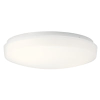 Ceiling Space Flush Mount