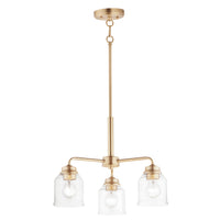 Acadia 3-Light Convertible Chandelier