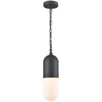 Capsule 1 Light Outdoor Pendant
