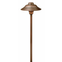 Essence Hammered Landscape Lighting