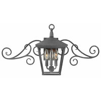 Trellis Outdoor Wall Light