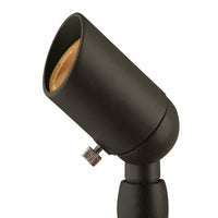 Accent Landscape Spot Light