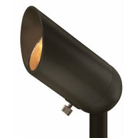 Accent Spot Landscape Lighting