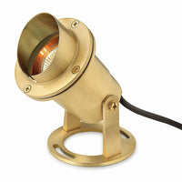 Accent Landscape Pond Light