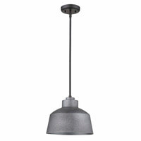 Barnes Outdoor Pendant