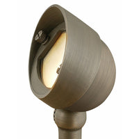 Hardy Island Landscape Flood Light