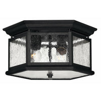 Edgewater Outdoor Ceiling Light