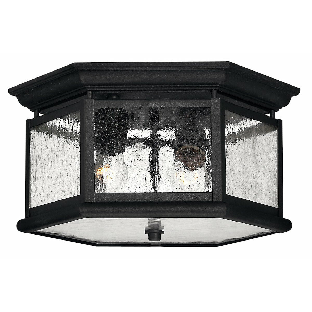 Edgewater Outdoor Ceiling Light Black