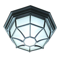 FlushMount Outdoor Ceiling Light