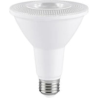 PAR 30 LED Bulb