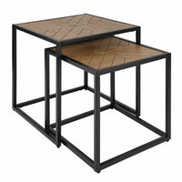 Canarm Birkett Metal Set of 2 Side Tables