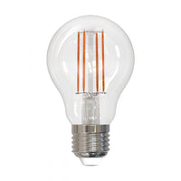 A19 LED Filament Bulb