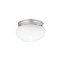 Ceiling Space Flush Mount