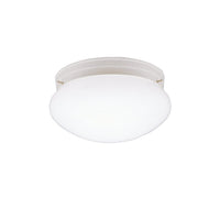 Ceiling Space Flush Mount