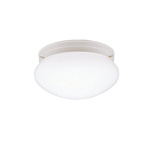 Ceiling Space Flush Mount