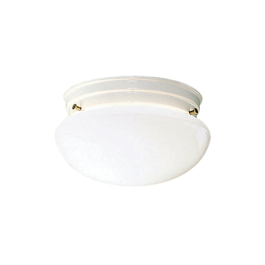 Ceiling Space Flush Mount